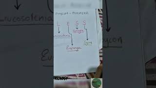 Trick to learn examples of porifera biologybook neetbiology neet biologytextbook planttaxonomy [upl. by Neerbas]