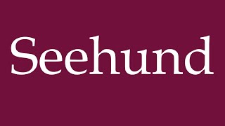 How to Pronounce Seehund Seal Correctly in German [upl. by Hainahpez]