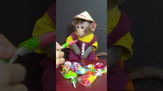 Monkey baby Bon Bon enjoy with Watermelon candy no Sugar monkey cute babymonkey [upl. by Jedidiah]