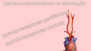 Controle Neuroquímico da Respiração  QUIMIORRECEPTORES CENTRAIS E PERIFÉRICOS [upl. by Ivanah]