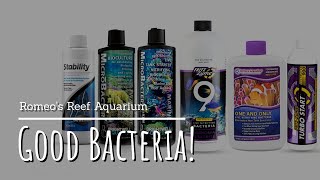 Saltwater Nitrifying Bacteria In A Bottle What I Use amp Why [upl. by Annoj844]