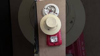 Notifier cpx551 Ionization smoke detector [upl. by Damek]