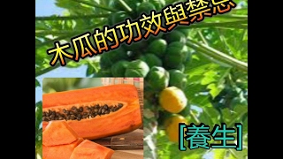 木瓜的功效與禁忌！還有美容養顏功效！ [upl. by Baal177]