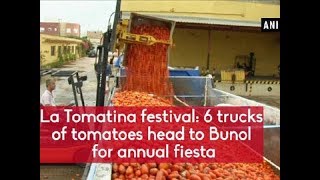 La Tomatina festival 6 trucks of tomatoes head to Bunol for annual fiesta  Spain News [upl. by Hassi]