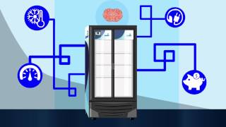 CIF Control Inteligente de Funciones de los Refrigeradores Imbera [upl. by Tati]