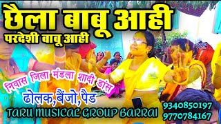 छैला बाबू आही परदेशी बाबू आही cg songtarumusicalgroup 9340850197 [upl. by Philipp766]