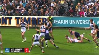 Qualifying Final 2  Geelong v Fremantle Highlights  AFL [upl. by Barbara-Anne512]