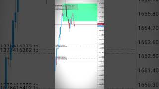 Scalping Gold tiap hari 5001000 poin [upl. by Itsrik]