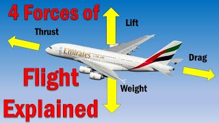 The 4 Forces of Flight  How Flight Works [upl. by Bartholemy]