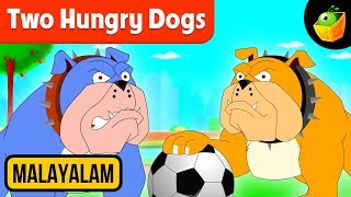 അത്യാഗ്രഹികളായ നായ്ക്കൾ Two Hungry Dogs  Aesops Fables  Magicbox Malayalam [upl. by Ycniuqed695]