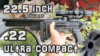 Ataman M2r 22 Air Rifle  Accuracy TEST  50 amp 100 Yards  FULL REVIEW  Ultra Compact X Airgun [upl. by Schlessinger745]