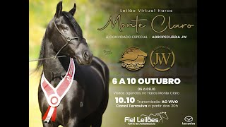 LEILÃO VIRTUAL HARAS MONTE CLARO amp AGROPECUÁRIA JW [upl. by Ahgem]