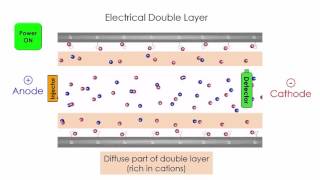 Capillary Electrophoresis [upl. by Suki]