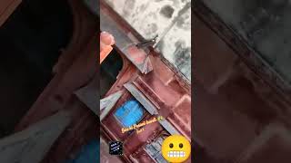 12 Gau ki Purani haveli part 2WlctoRYMCFamily [upl. by Natsud]