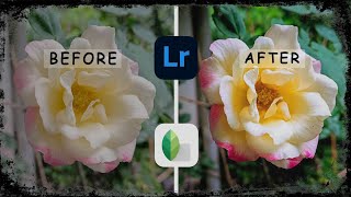 Photo Editing In Mobile  Lightroom  Snapseededit photoediting lightroom snapseed viralvideo [upl. by Thaddeus]