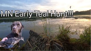 2023 MN Early Teal Season New Spot and Insane Heat [upl. by Meela737]