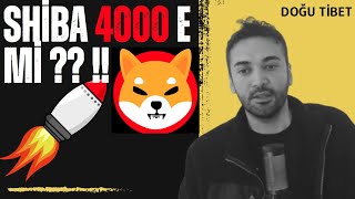 Shiba coin pump hedef 4000 mi 🚀 [upl. by Fessuoy]