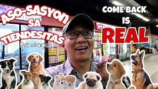 Best Pet Shop In the Philippines 🇵🇭  Tiendesitas Pet Shop 🐕  Tiendesitas Dog Shop 🐩  Dog Lover ❤ [upl. by Randi]