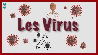 Quest ce quun Virus  Bases virologiques [upl. by Ardnusal179]