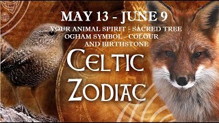 DISCOVER YOUR CELTIC ZODIAC SIGN MAY 13  JUNE 9 [upl. by Aneliram]