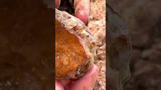 Finding Natural Carnelians Gemstone At The Mountain crystals gemstone quartzite quartz mining [upl. by Carolyne116]