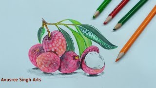 Drawing realistic litchi lychee with colour pencilscolour pencils [upl. by Anayia]