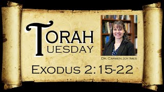 Torah Tuesday  Exodus 21522 [upl. by Bartko]