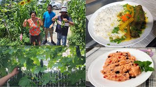 🇬🇾HARVESTING WIRI WIRI PEPPER CHILI PEPPER  HOT FLORIDA HASSA CURRY MAKING PARSADMOHANBHOG🇬🇾 [upl. by Andrien782]