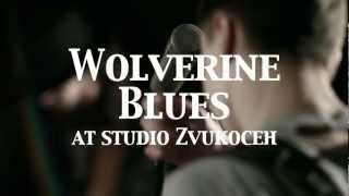 Wolverine Blues Promo 2012 [upl. by Ursel31]