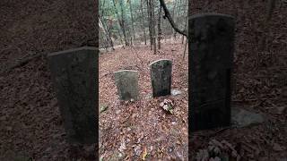 Fisher trapping and old graves [upl. by Hgieliak659]