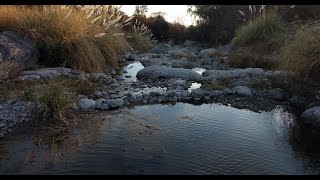 Sendero Los Algarrobos y Baño del Obispo Yacanto Traslasierra Córdoba [upl. by Austin727]