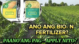 ANO ANG BIO N FERTILIZER PAANO ITO GAGAMITIN emmanuelsalvame4420 [upl. by Aivila]