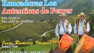 RONCADORA LOS AUTENTICOS DE FERRER  cerro de angollca [upl. by Raynold]