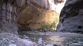 Zion Narrows Hike in Zion National Park  HD [upl. by Eelamme]