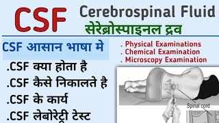 CSF cerebrospinal fluid physical examination collection of csf CSF laboratory testKiran maurya [upl. by Penoyer]