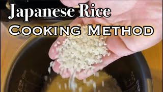 Japanese RICE  How to Cook Rice in a Rice Cooker [upl. by Niawat]