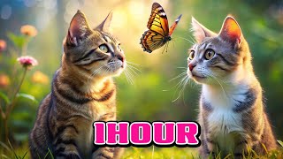 😺CAT GAMES l Realistic Butterfly Game to Captivate Cats 1HourVIDEOS FOR CATS TO WATCH [upl. by Noreik]