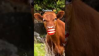 Cowboy 🤠 animalsounds funnybuffalo cowclips funny buffallow cowsound [upl. by Emile]