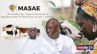 🔴Direct El Malick Mdiaye et Mabouba Diagne LANCEMENT CAMPAGNE NATIONALE DE VACCINATION DU CHEPTEL [upl. by Neri465]