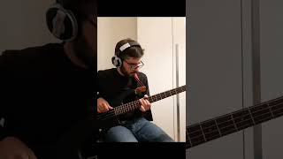 The Beatles  Penny Lane bass cover [upl. by Sesiom]