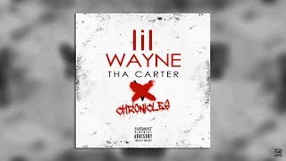 Lil Wayne  Nothing Without You Full Leaked [upl. by Enrak820]