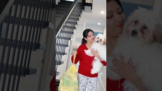 Part 1 When she is the best puppy lover 🙄🤭 Sijoshcp sijoshriya ashortaday shorts [upl. by Pren]