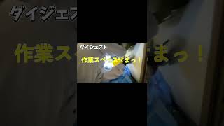 DIYでキッチン水栓取替本当に大丈夫？？既存のキッチン水栓取外し出来ない時はどうする！？ shorts ＃キッチン＃水栓取替＃TOTO＃TKS053009J＃DIY [upl. by Notse]