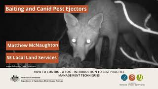 Baiting and Canid Pest Ejectors for effective fox control [upl. by Cahra]