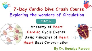 Day 3 Physiology crash course on Circulation by Dr Ruqaiya Medsparkles [upl. by Oijile]