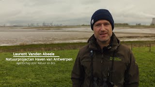 Vis en vogelonderzoek in de Hedwige en Prospergebieden  Natuur en Bos [upl. by Aanas845]