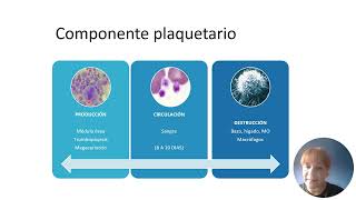 Hemostasia Primaria [upl. by Alram]