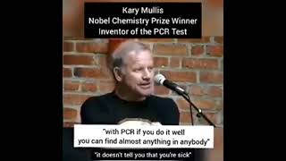 Kary Mullis The PCR test quotdoesnt tell you that youre sickquot [upl. by Aivun]