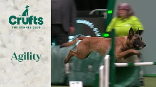 Agility  Championship  IntermediateLarge Part 1 Jumping  Crufts 2024 [upl. by Drawoh]