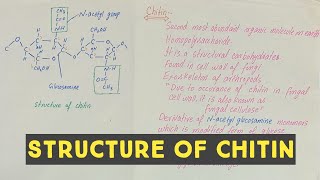 Chitin  chitin polysaccharide  structure of chitin [upl. by Ijies275]